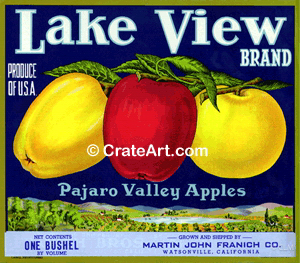 LAKE VIEW (A) #5