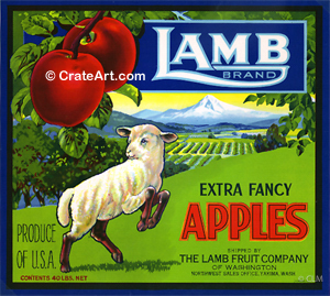 LAMB (A) #2