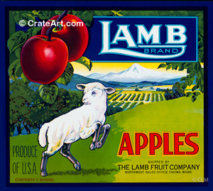LAMB (A) #3