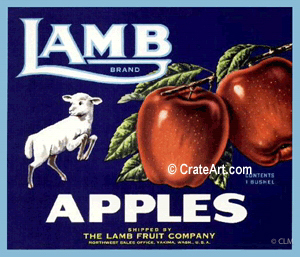 LAMB (A) #4