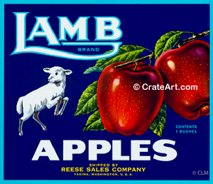 LAMB (A) #6