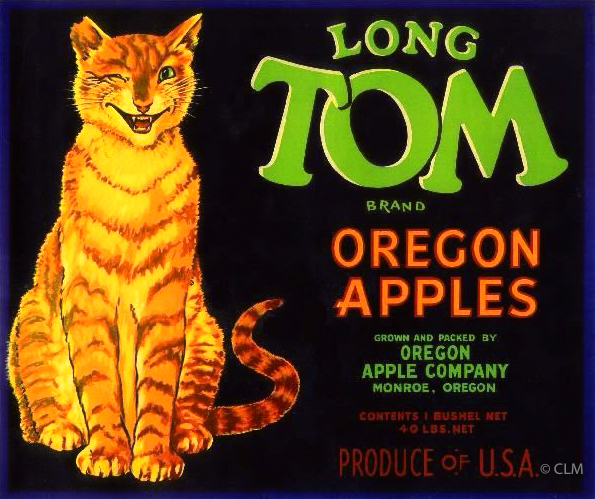 LONG TOM (A)