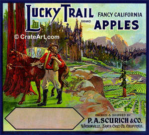 LUCKY TRAIL (A) #1
