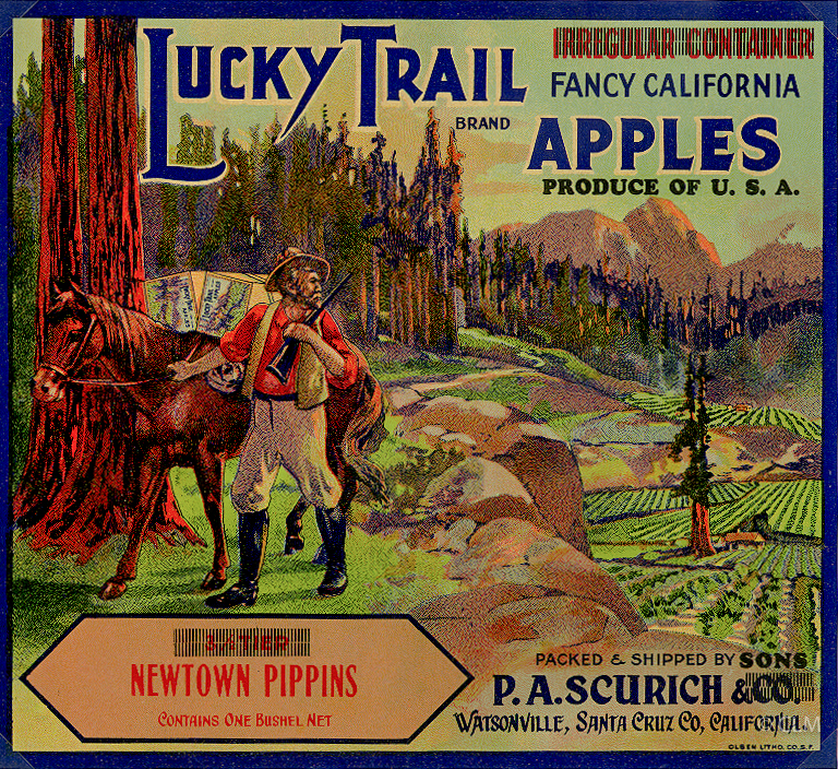 LUCKY TRAIL (A) #2