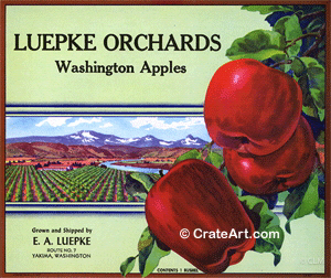 LUEPKE ORCHARDS (A) #1