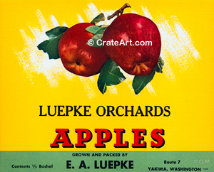 LUEPKE ORCHARDS (A) #2