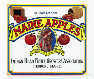 MAINE APPLES (A)
