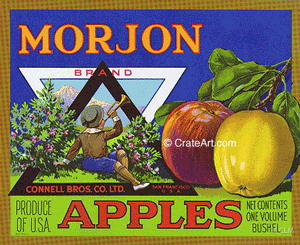 MORJON (A) #1