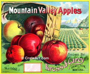 MOUNTAIN VALLEY APPLES (A)
