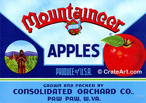 MOUNTAINEER (A) #1