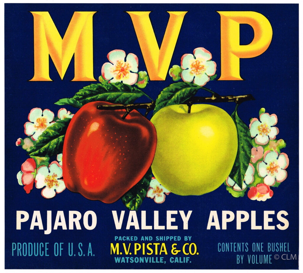 MVP (A)
