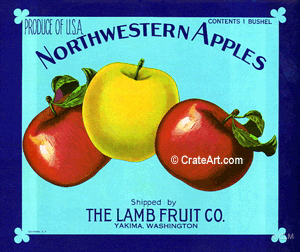 NORTHWESTERN APPLES (A) #1