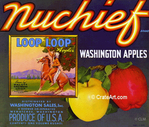 NUCHIEF (A) #06
