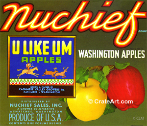 NUCHIEF (A) #08