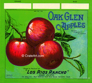 OAK GLEN (A) #3