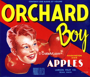 ORCHARD BOY (A) #2