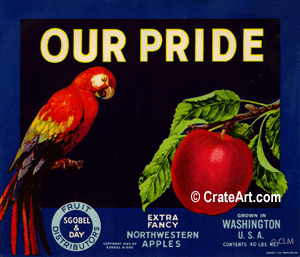 OUR PRIDE (A) #2