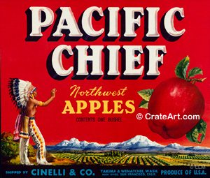 PACIFIC CHIEF (A)