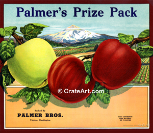 PALMER'S PRIZE PACK (A)