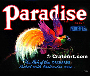 PARADISE (A) #3