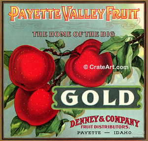 PAYETTE VALLEY (A) #1