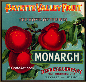 PAYETTE VALLEY (A) #2