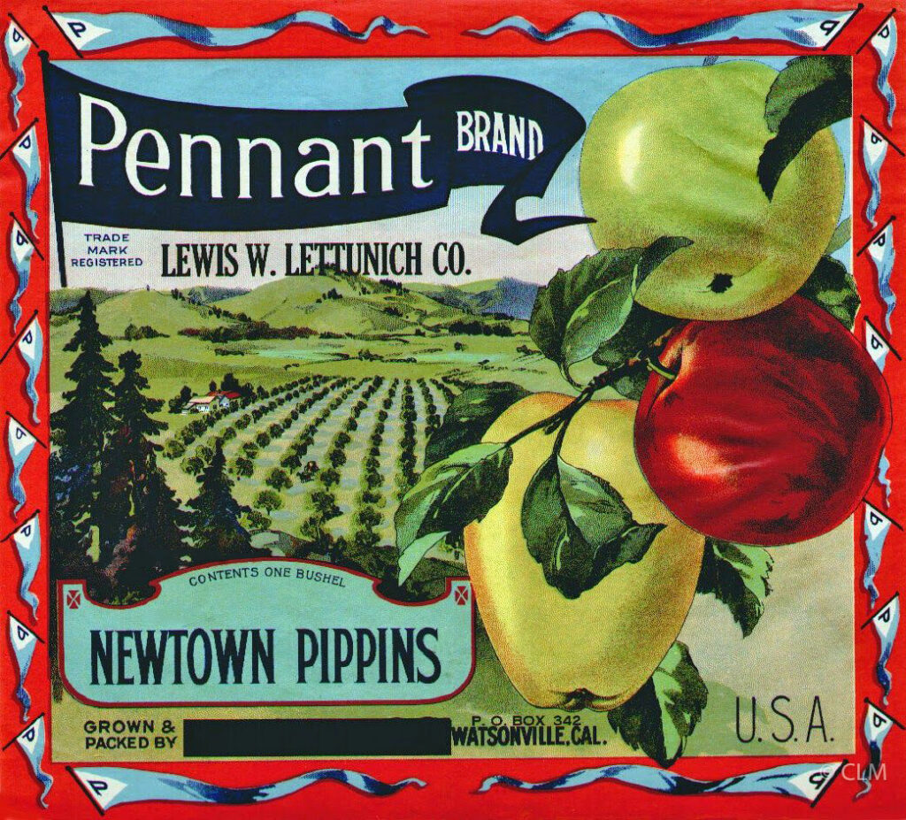 PENNANT (A)