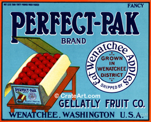 PERFECT-PAK (A) #1