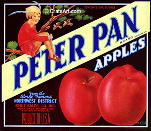 PETER PAN (A) #1