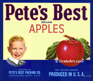 PETE'S BEST (A) #3
