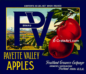 PV BRAND (A)