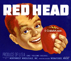 RED HEAD (A) #3