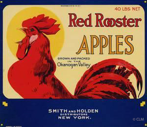 RED ROOSTER (A)
