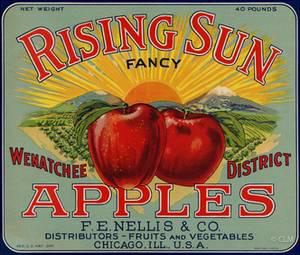 RISING SUN (A)