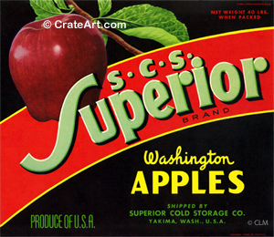 S.C.S. SUPERIOR (A) #2