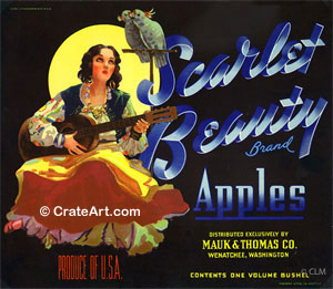 SCARLET BEAUTY (A)