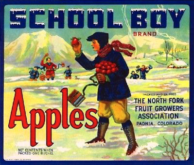 SCHOOL BOY (A)