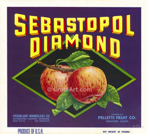 SEBASTOPOL DIAMOND (A)