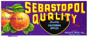 SEBASTOPOL QUALITY (A) #2