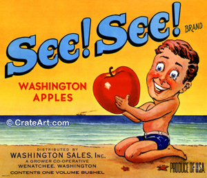 SEE! SEE! (A)