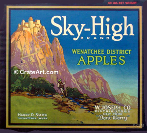 SKY-HIGH (A) #3