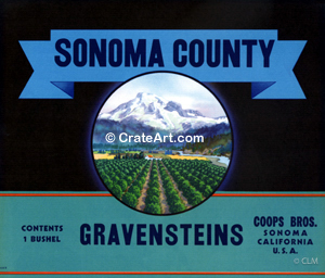 SONOMA COUNTY (A)