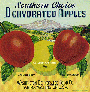 SOUTHERN CHOICE (A) #1