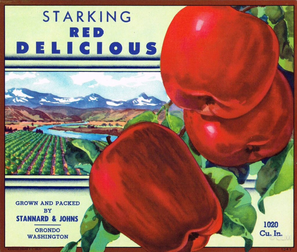 STARKING RED DELICIOUS (A)