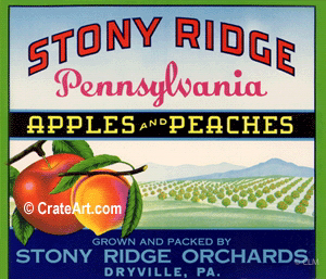 STONY RIDGE (A) #2