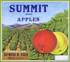 SUMMIT (A) #1