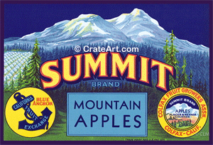 SUMMIT (A) #2