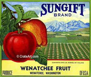 SUNGIFT (A)