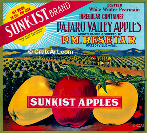 SUNKIST (A) #1
