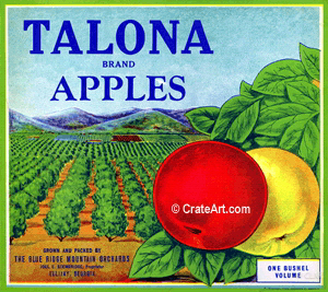 TALONA (A) #1